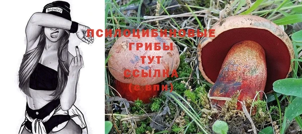 бошки Балахна