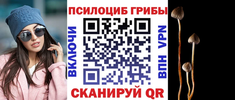 KRAKEN зеркало  Сибай  Псилоцибиновые грибы MAGIC MUSHROOMS 